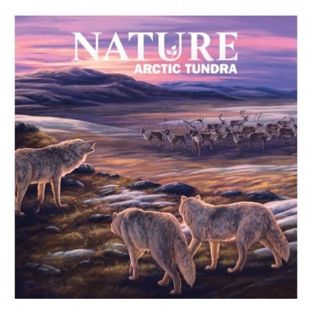 Nature: Tundra