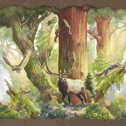 Redwood: Big Box