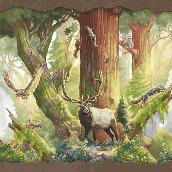 Redwood: Big Box
