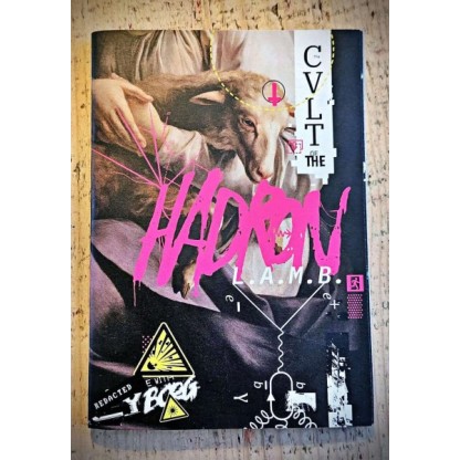 Cy Borg RPG CVLT of the Hadron Lamb