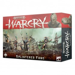 Warcry: The Splintered Fang