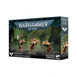 Blood Angels - Sanguinary Guard