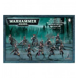 Drukhari - Wyches