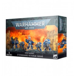 Space Marines - Sternguard Veteran Squad