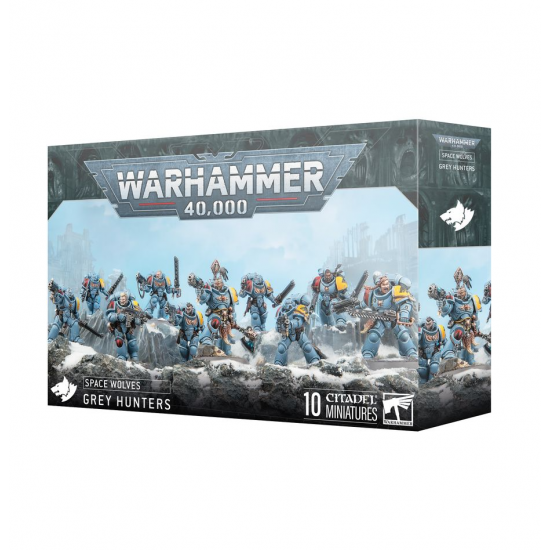 Space Wolves - Grey Hunters