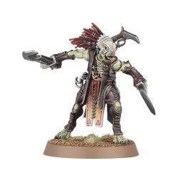 Tau Empire - Kroot Flesh Shaper