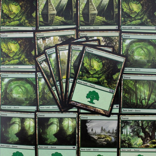 Magic The Gathering - 80 Lands Pack - Forest