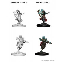 D&D Nolzur's Marvelous  Miniatures - Air Genasi Female Rogue