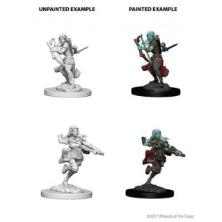 D&D Nolzur's Marvelous  Miniatures - Air Genasi Female Rogue