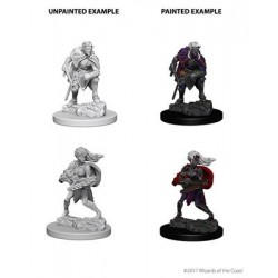  D&D Nolzur's Marvelous Miniatures - Drow