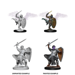 D&D Nolzur's Marvelous  Miniatures - Aasimar Male Paladin