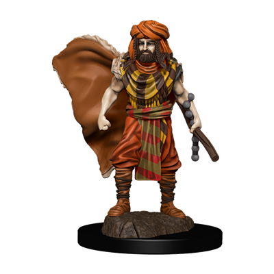 D&D Dungeons & Dragons - Icons of the Realms Premium Miniatures: Human Male Druid 