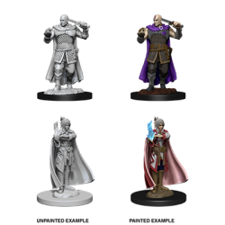 D&D Nolzur's Marvelous  - Human Ranger & Moon Elf Sorcerer 