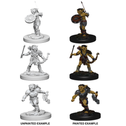 D&D Nolzur's Marvelous Miniatures: Goblins