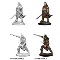 Pathfinder Deep Cuts Unpainted Miniature: Human Male Fighter