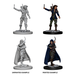Pathfinder Deep Cuts Unpainted Miniature: Human Female Rogue