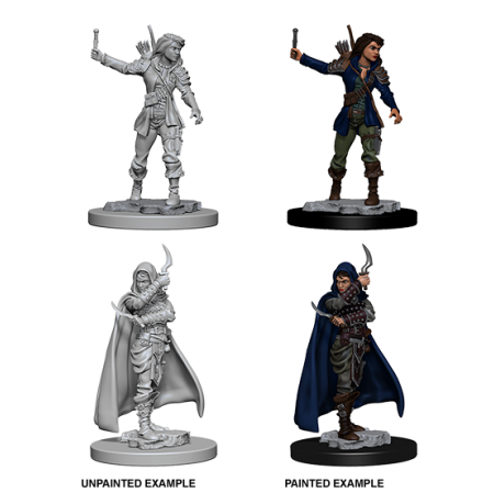 Pathfinder Deep Cuts Unpainted Miniature: Human Female Rogue