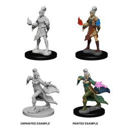 Pathfinder Deep Cuts Unpainted Minis: Elf Female Sorcerer