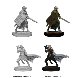Pathfinder Deep Cuts Unpainted Miniatures: Elf Male Paladin