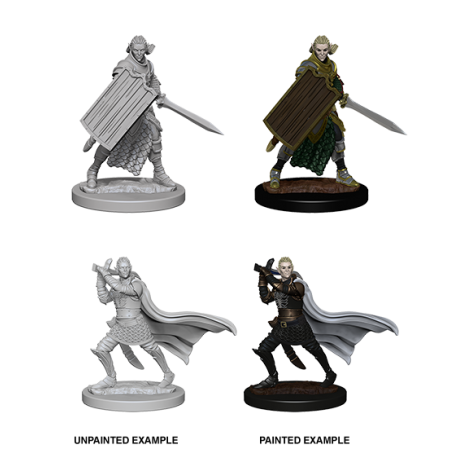 Pathfinder Deep Cuts Unpainted Miniatures: Elf Male Paladin