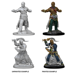 Pathfinder Deep Cuts Unpainted Miniatures: Human Male Monk
