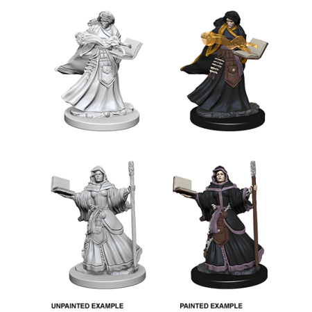D&D Nolzur's Marvelous Miniatures: Human Wizard