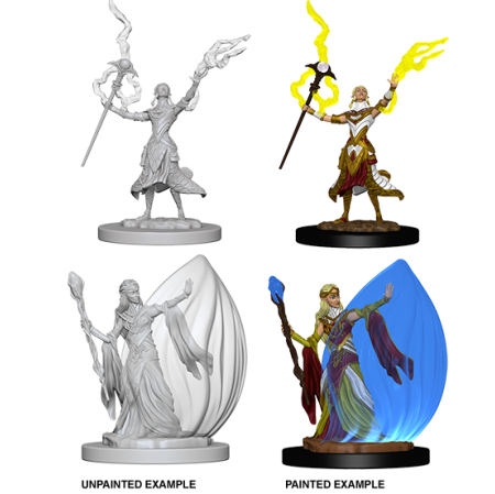 D&D Nolzur's Marvelous Miniatures: Elf Wizard