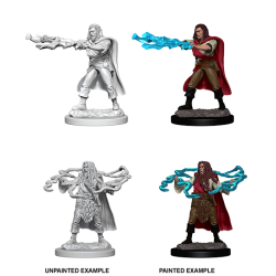 D&D Nolzur's Marvelous Miniatures: Human Sorcerer