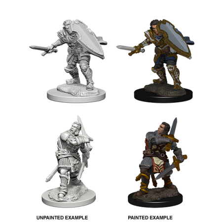 D&D Nolzur's Marvelous Miniatures: Human Paladin