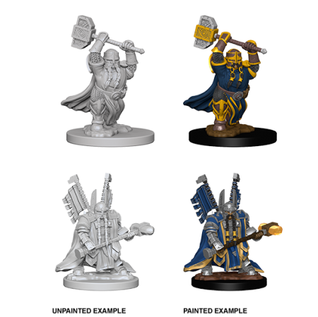 D&D Nolzur's Marvelous Miniatures: Dwarf Paladin