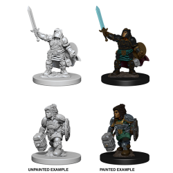 D&D Nolzur's Marvelous Miniatures: Dwarf Paladin
