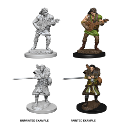 D&D Nolzur's Marvelous Miniatures: Human Bard