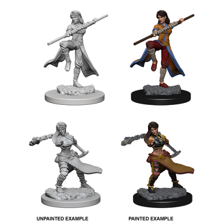 D&D Nolzur's Marvelous Miniatures: Human Monk