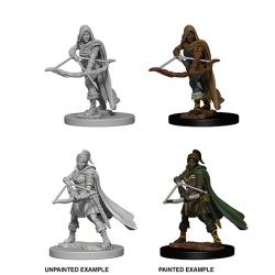 D&D Nolzur's Marvelous Miniatures: Human Ranger