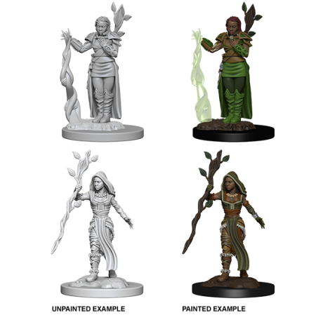 D&D Nolzur's Marvelous Miniatures: Human Druid