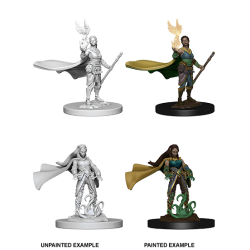 D&D Nolzur's Marvelous Miniatures : Elf Druid