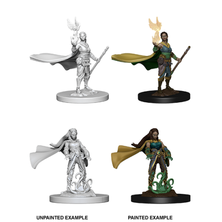 D&D Nolzur's Marvelous Miniatures : Elf Druid