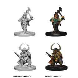 D&D Nolzur's Marvelous Miniatures: Dwarf Barbarian