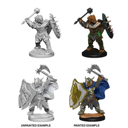 D&D Nolzur's Marvelous Miniatures: Dragonborn Paladin