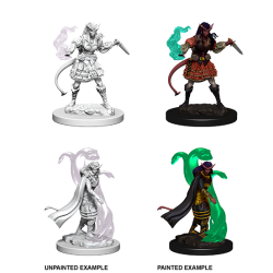 D&D Nolzur's Marvelous Miniatures: Tiefling Sorcerer