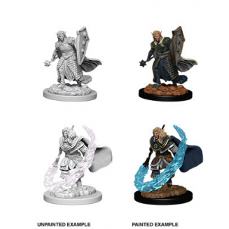 D&D Nolzur's Marvelous Miniatures: Elf Male Cleric
