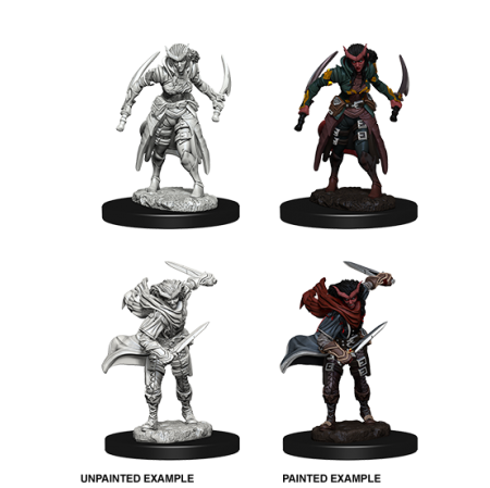D&D Nolzur's Marvelous Miniatures: Tiefling Rogue