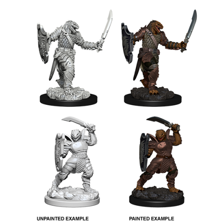 D&D Nolzur's Marvelous Miniatures: Dragonborn Paladin