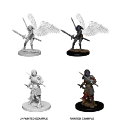D&D Nolzur's Marvelous Miniatures: Aasimar Paladin