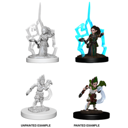 Pathfinder Deep Cuts: Gnome Female Druid