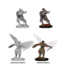 D&D Nolzur's Marvelous Miniatures: Aasimar Fighter