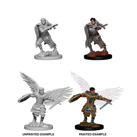 D&D Nolzur's Marvelous Miniatures: Aasimar Fighter