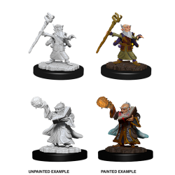 D&D Nolzur's Marvelous Miniatures: Gnome Wizard