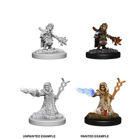 D&D Nolzur's Marvelous Miniatures: Gnome Wizard