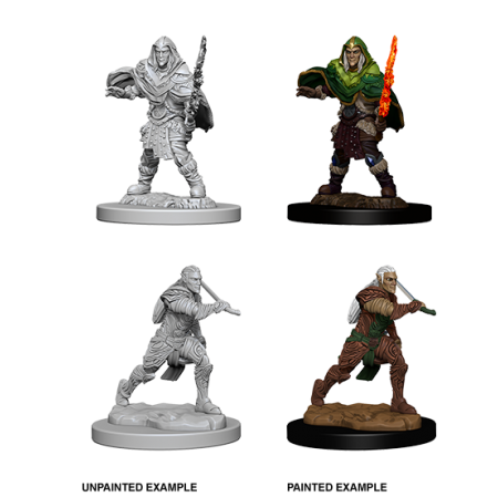 D&D Nolzur's Marvelous Miniatures: Elf Fighter